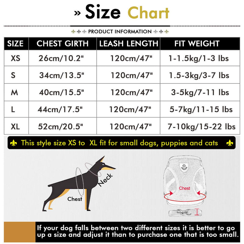 SMALLLEE_LUCKY_STORE Soft Mesh Step-in Small Dog/Cat Harness and Lead Set for Walking Reflective Puppy Vest Harness Outdoor Training,Black,Size M M(chest 40cm,for 3-5kg) black-style1 - PawsPlanet Australia