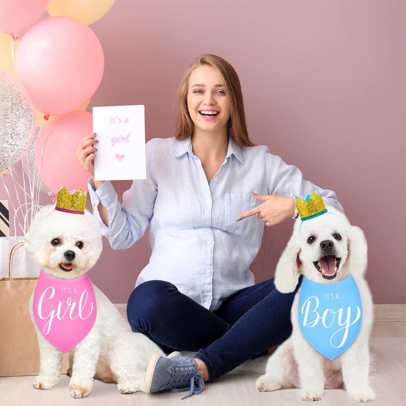 2 Pieces It's a Boy It's a Girl Dog Bandana Gender Reveal Baby Announcement Dog Bandana and 2 Pieces Pet Crown Dog Hat Photo Props for Dog Puppy Cat (Blue, Pink) - PawsPlanet Australia