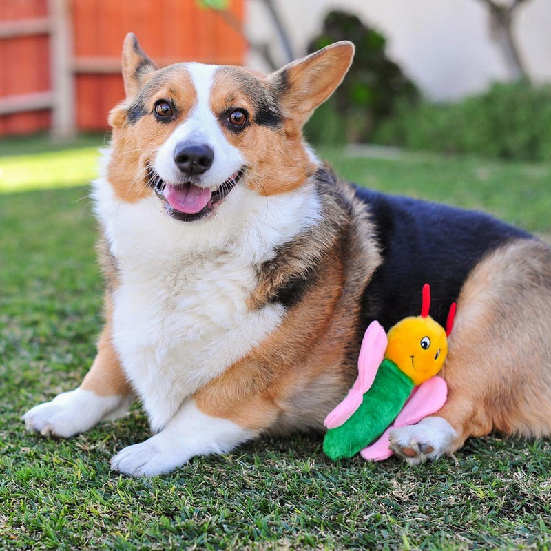 [Australia] - ZippyPaws Crinkles Squeaky Plush Dog Toy, Small Butterfly 