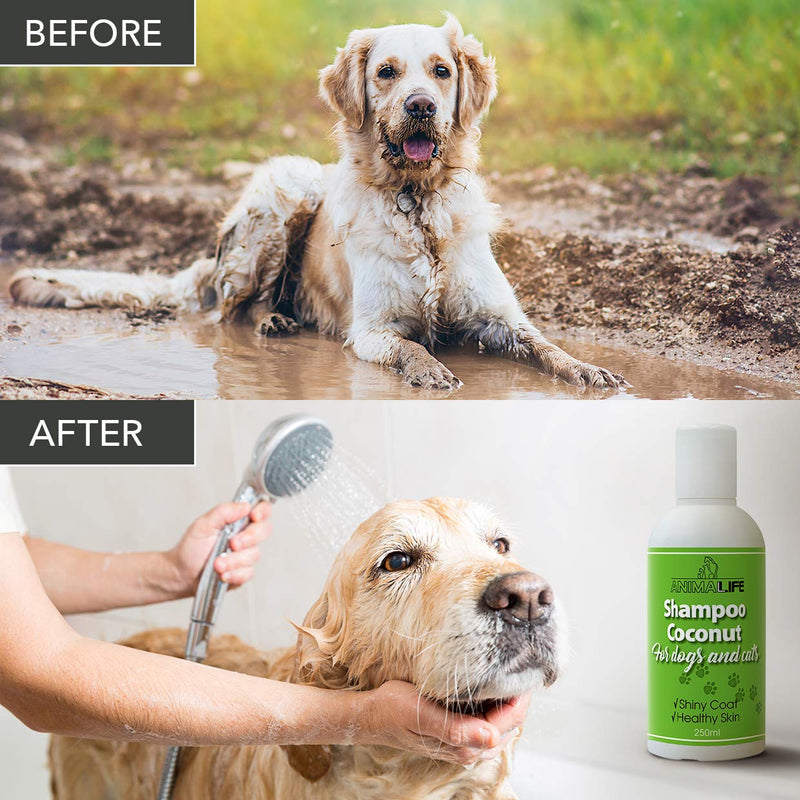 Coconut Oil Shampoo for Dogs & Cats 250ml - Coconut Oil - Ethereal Tea Tree & Rosemary Oil - Nurturing - Easily Combed - Pleasant Smell - Silk Proteins - PawsPlanet Australia