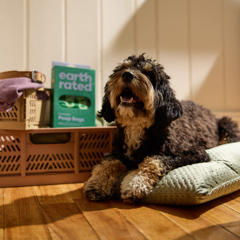 Earth Rated dog waste bags, new look, with handles, easy to knot and guaranteed leak-proof, lavender scent, 120 handle bags lavender 120 pieces - PawsPlanet Australia