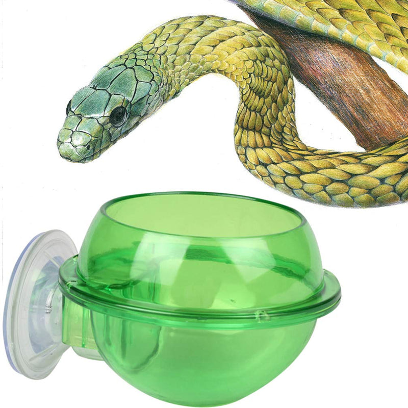 Balacoo 2PCS Suction Cup Reptile Feeder Anti-Escape Reptile Food Bowl For Tortoise Gecko Snakes Chameleon Iguana - PawsPlanet Australia