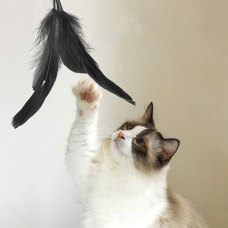 RUOXiAO Cat Toys for Interactive Feather Toys-Cat Wand Teaser Toys with 2 Tiny Fingers for Kitty and Small Pets. Feather Toy Kit - PawsPlanet Australia