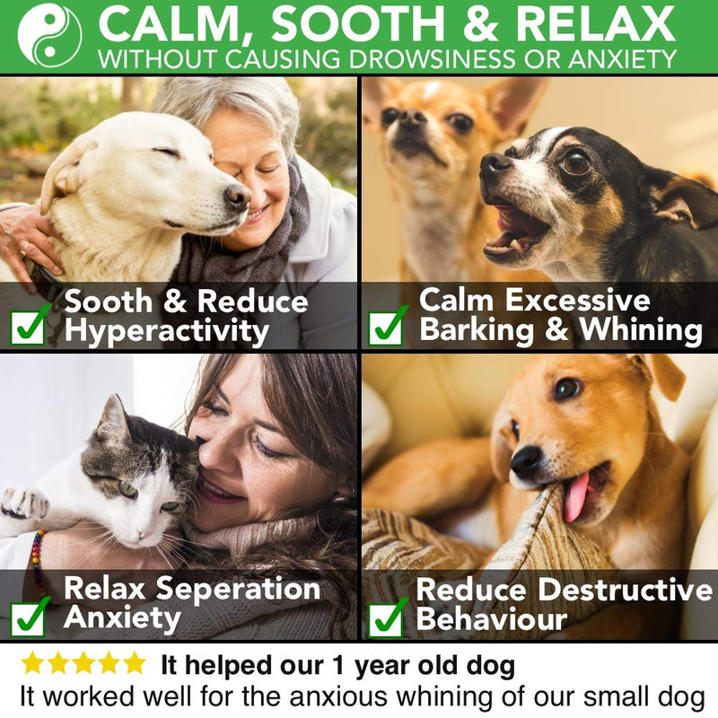 The Healthy Dog Co All Natural Calming Drops for Dogs & Cats | Tranquillity | 50-100 Servings | Healthiest Calming Aid For Pets Who Need Stress & Anxiety Relief - PawsPlanet Australia