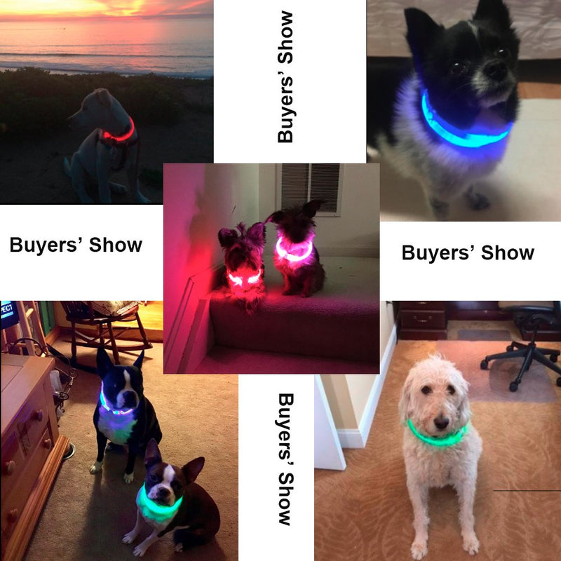 [Australia] - BSEEN LED Dog Collar, USB Rechargeable Glowing Pet Collar, TPU Cuttable Dog Safety Lights for Small Medium Large Dogs Blue 