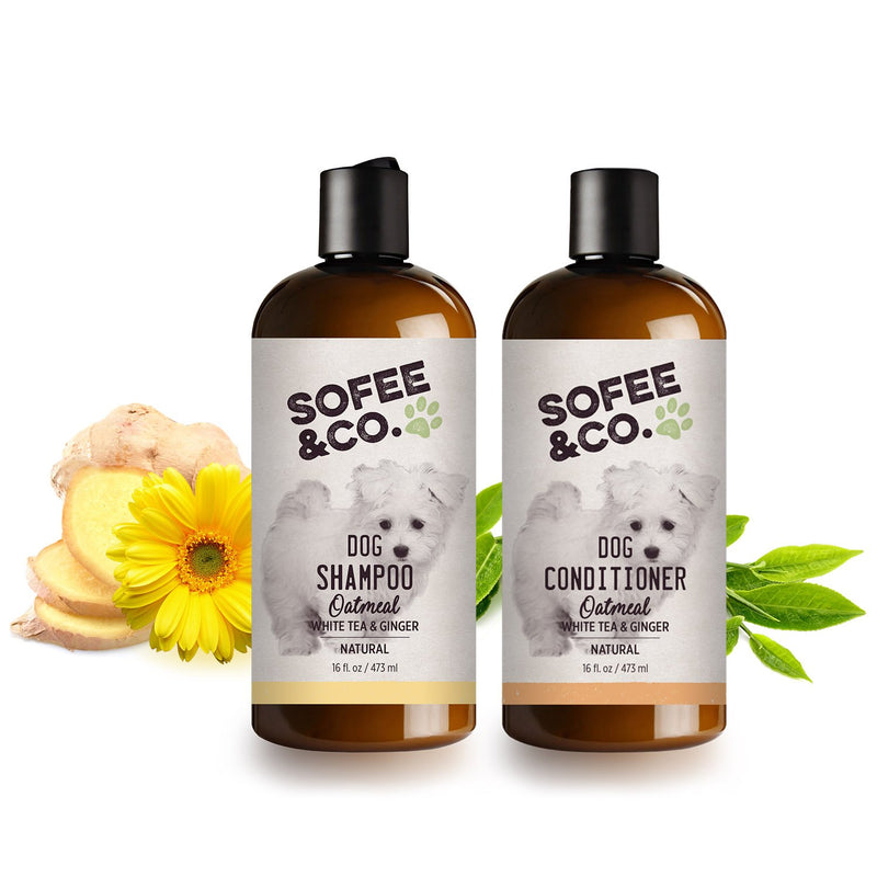 [Australia] - Sofee & Co. Natural Oatmeal Dog Puppy Shampoo - Clean Moisturize Soothe Soften Norma, Dry Itchy Allergy Sensitive Skin. Deodorize and Detangle 16 oz (White Tea & Ginger) 