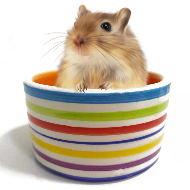 kathson Hamster Bowl Ceramic Small Animal Water Bowl Prevent Tipping Moving and Chewing Food Dish for Guinea Pig Gerbil Ferret Syrian Hamster Chinchilla Rat Hedgehog Bunny (3 Pcs) - PawsPlanet Australia