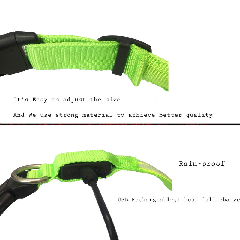 [Australia] - PPWW Light Up LED Dog Collar - Super Bright - USB Rechargeable, Rainproof - Perfect Use in Rainy Day Small (13.3-16.1" / 34-41cm) Green 