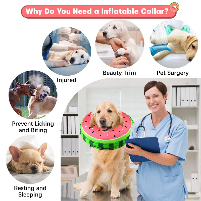 Inflatable Neck Brace Dog & Neck Brace Cat, FWLWTWSS Protective Collar Dog with Adjustable Buckle, Dog Collar Leak Protection for Recovery After Operations or Wounds, Leak Protection for Dogs (L) [Neck: 30.5 cm - 45.7 cm] L - PawsPlanet Australia