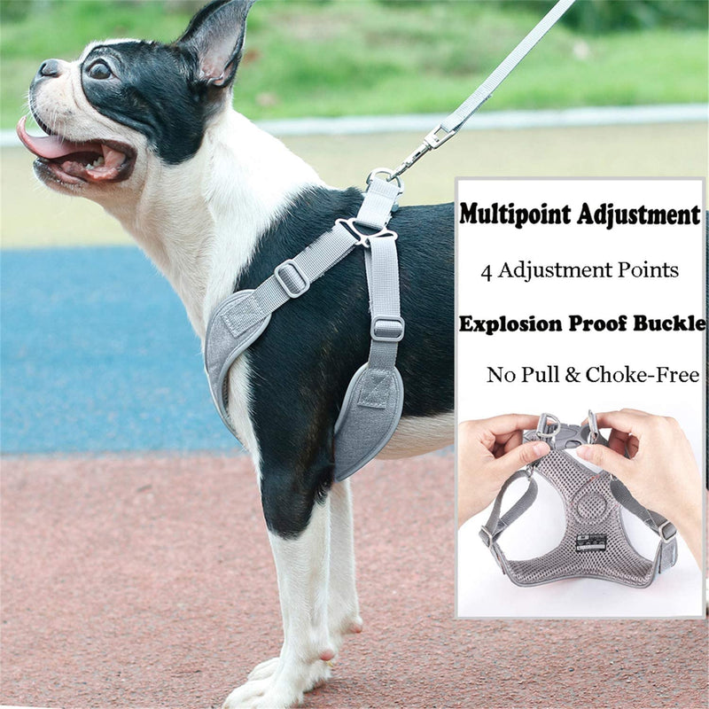ABRRLO Pet Dog Harness for Small Medium Dogs Reflective Harness Vest Air Mesh Adjustable Dog Harness Soft Padded Breathable (XS, Grey) XS - PawsPlanet Australia