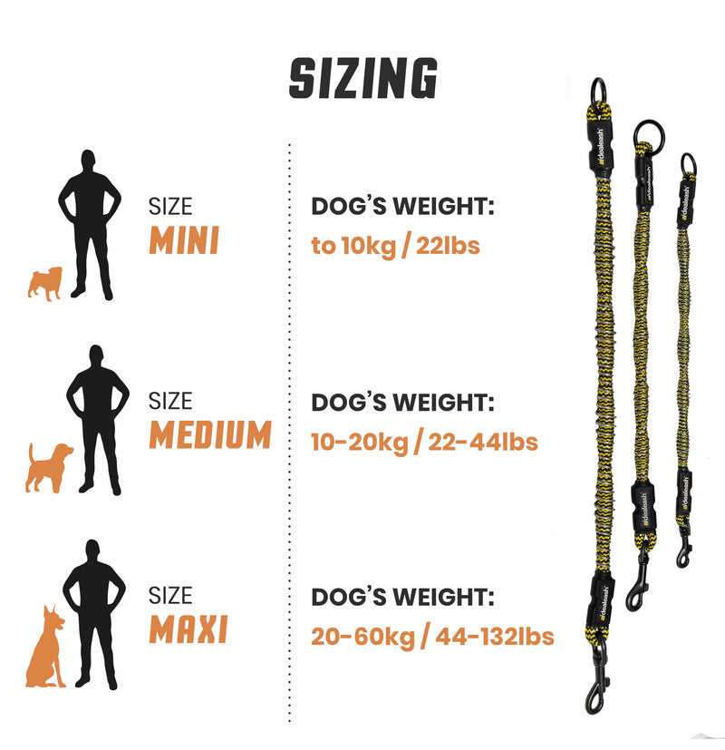 Dog Car Seat Belt - Shock Absorbing Bungee Dog Leash - Dog Car Fixation - Seat Belt Leash for Dogs Medium (10-20kg) - PawsPlanet Australia