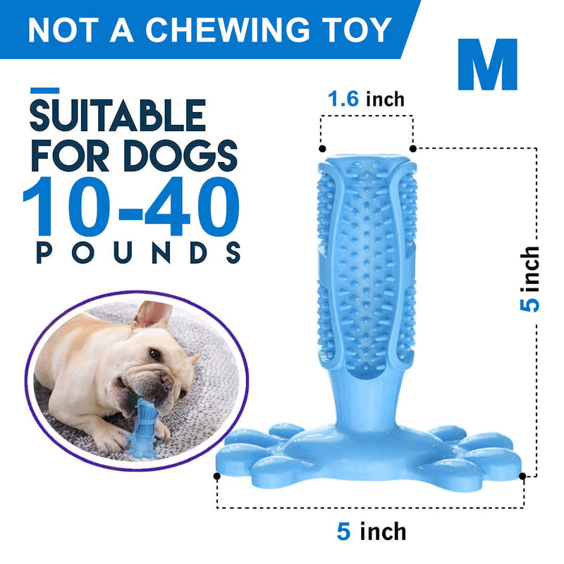 Dog Chew Toys with Brush, Dog Toothbrush Stick, Dog Chew Toy Doggy Teeth Cleaner Puppy Dental Care Dog Tooth Brushing Stick Natural Rubber + Dog Walking Bag Medium - PawsPlanet Australia