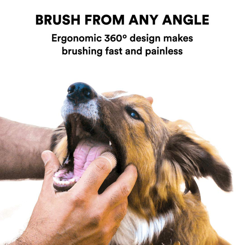 Jasper Dog Toothbrush, 360º Finger Toothbrush Kit, Ergonomic Design, Full Surround Bristles for Easy Teeth Cleaning, Dental Care for Puppies, Cats and Small Pets, Blue 4-Pack Blue (4-pack) - PawsPlanet Australia