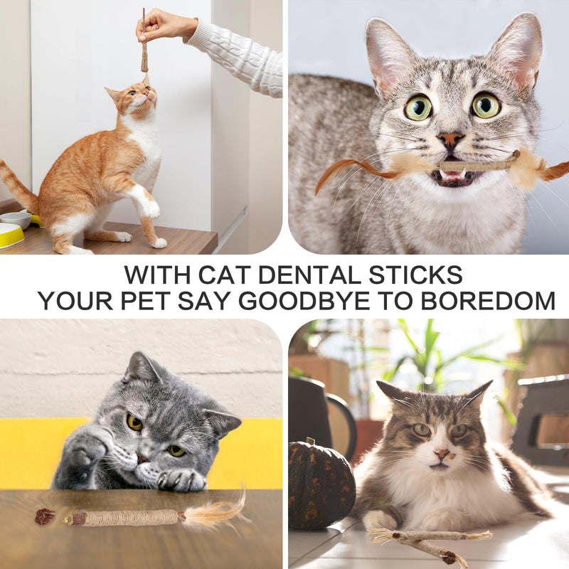 SPOKKI 6 pieces catnip sticks, cat toy set, matatabi stick for cats, dental care, removal of tartar and refreshing breath, organic interaction - PawsPlanet Australia