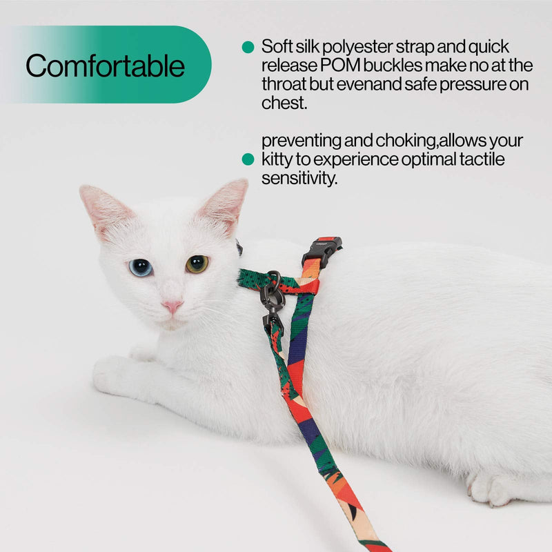 pidan Cat Harness and Leash Set, Cats Escape Proof - Adjustable Kitten Harness for Large Small Cats, Lightweight Soft Walking Travel Petsafe Harness Multicolor - PawsPlanet Australia