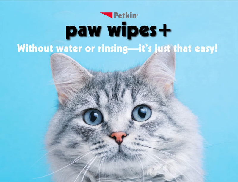 Petkin Paw Wipes Plus, 100 Orange Scented Wipes - Absorbent Pet Paw Wipes Remove Daily Dirt & Odors - Enriched with Paw Balm Protectant - Easy to Use Pet Wipes for Dogs, Cats, Puppies & Kittens - PawsPlanet Australia