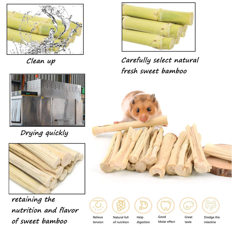 XIAO MO GU Bunny Chew Toys, 3 Types Rabbit Hamster Toys with Apple Wood Sticks Teeth Grinding Toy for Rabbits Bunny Hamster Parrot Chinchillas Guinea Pig Gerbils Chewing Green - PawsPlanet Australia