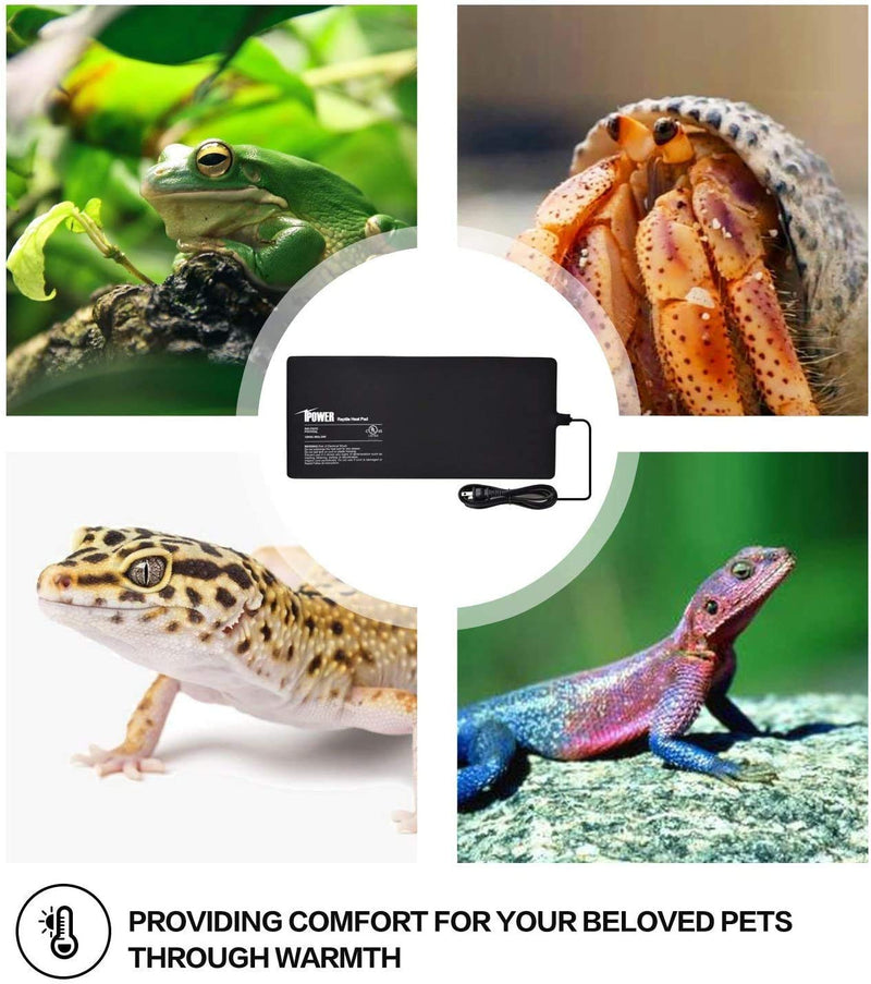 iPower Reptile Heat Pad 4W/8W/16W/24W Under Tank Terrarium Warmer Heating Mat and Digital Thermostat Controller for Turtles Lizards Frogs and Other Small Animals, Multi Sizes 8 X 18 Inch Heat Pad + Controller - PawsPlanet Australia