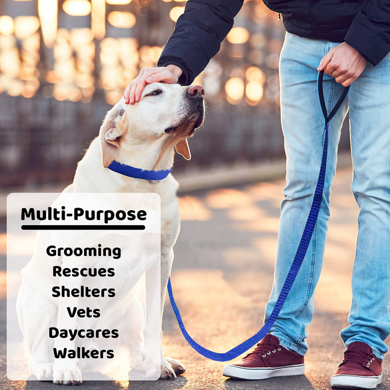 Downtown Pet Supply - 6ft Dog Kennel Slip Lead Dog Leash - Veterinarian, Dog Grooming, Daycare & Animal Rescue Dog Supplies - One Size Leads for Dogs Bulk - 1" Thick 6 Pack - PawsPlanet Australia