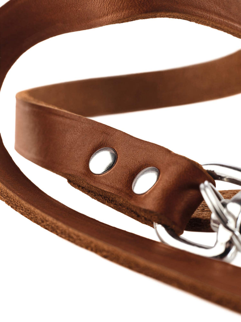 HUNTER Adjustable dog lead, leather, simple, durable, supple, 2.0 x 200 cm, cognac - PawsPlanet Australia