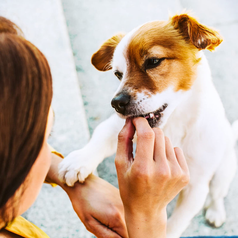 ADAPTIL Chew - A Delicious and Natural Way to Help Your Dog Calm Their Anxiety - 30 Pieces - PawsPlanet Australia