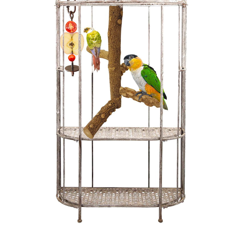 Tsin 2PCS Bird Parrot Natural Wood Perch Stand Toys, Bird Food Holder Bird Cage Hanging Vegetable Fruit Feeder Bird cage Accessories, for Small Medium-Sized Birds Parrots Parakeets - PawsPlanet Australia