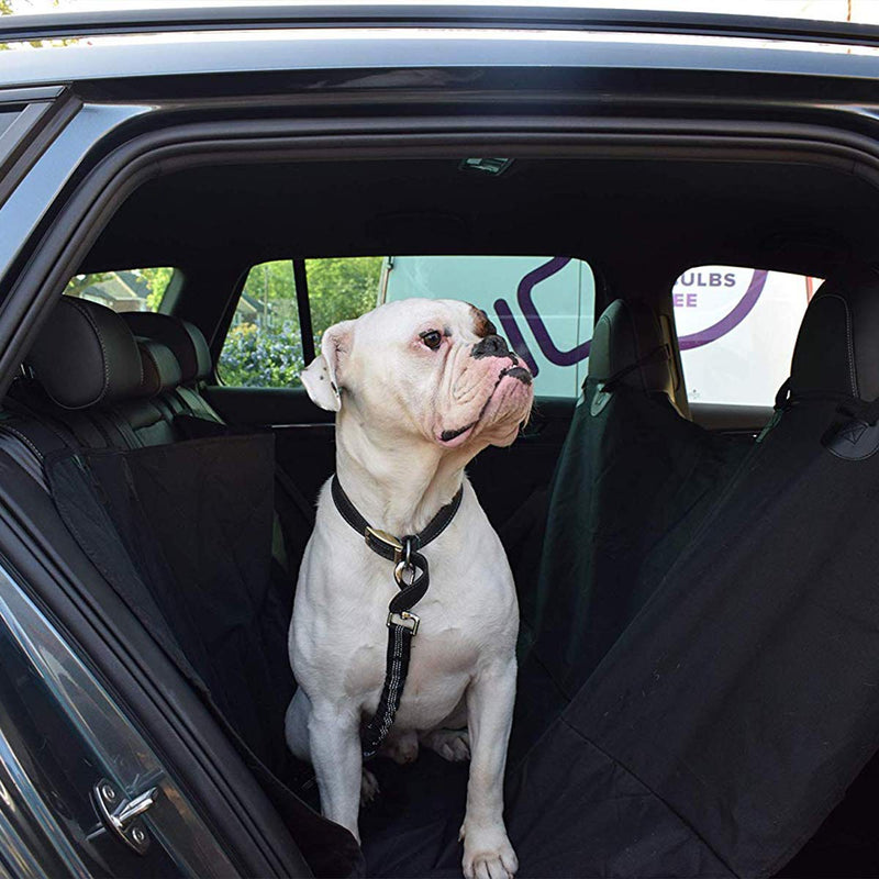 [Australia] - Pet Seat Belt, Adjustable Telescopic Car Shockproof Cat and Dog Buffer, Black 