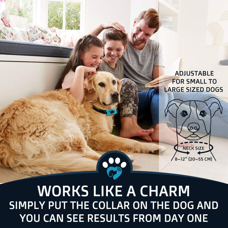PawPets Rechargeable Anti Bark Collar - No Shock Training Dog Collar - Humane with Vibration and Sound Barking Collar for Small Medium Large Dogs - 2 Pack Battery - PawsPlanet Australia