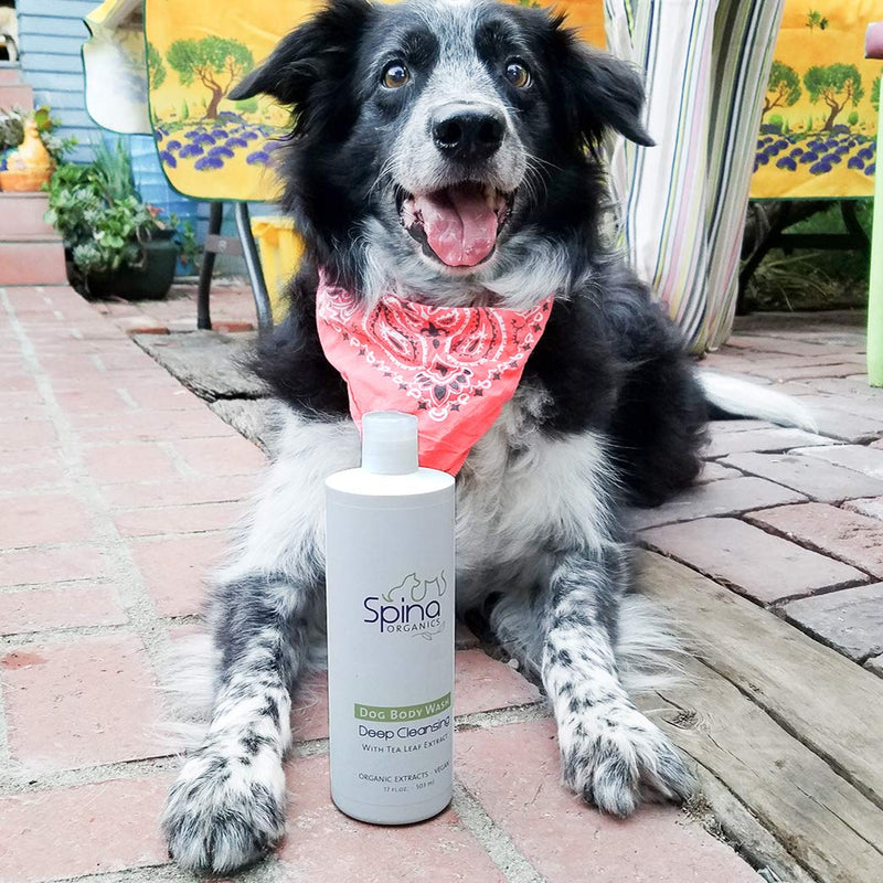 [Australia] - Spina Organics, All-Natural DEEP CLEANSING Dog Shampoo, Green Tea Leaf extract with Argan oil 
