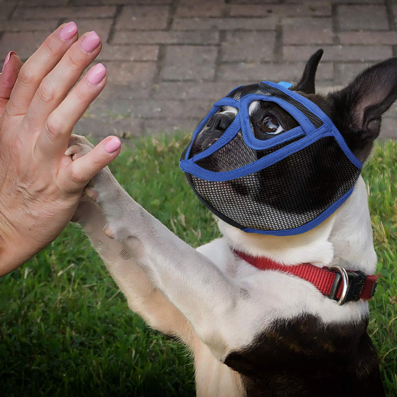 Weewooday 2 Pieces Short Snout Dog Muzzle Mesh Mask Adjustable Breathable Mesh Bulldog Muzzle Barking Biting Chewing Training for Small Medium Large Dog S Black, Royal Blue - PawsPlanet Australia