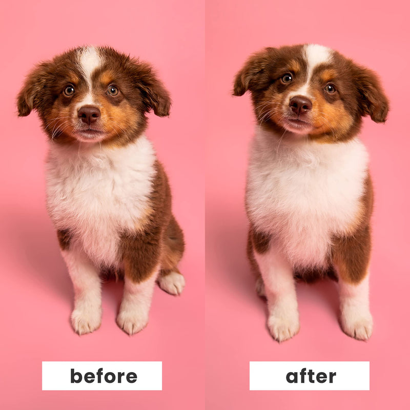 Tangle Teezer | Pet Teezer | Puppy Grooming Brush | Dry Brush or Dog Bath Brush | Mint - PawsPlanet Australia
