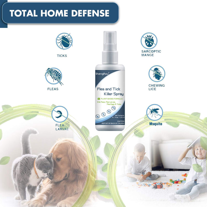 Flea and Tick Spray for Dogs & Cats Safe Humans Kids & Pet Vet's Treatment Best Pets Ticks, Fleas and Insect Killer Best for Home Yard, Outdoor and Indoor House, No Powder & All Natural, Charity ! - PawsPlanet Australia