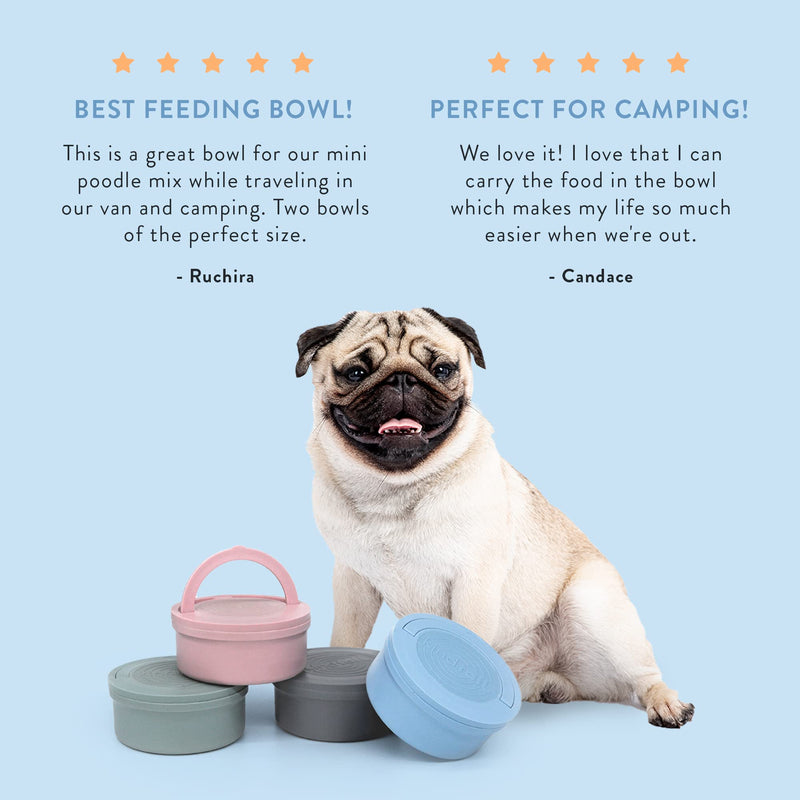 KindTail - Kind Bowls, Travel Dog Bowls, Portable Pet Bowls, Microwave and Dishwasher-Safe Dog Bowl with Lid and Handle, Inner Bowl with 10oz Capacity and Outer Bowl with 20oz Capacity, Light Blue - PawsPlanet Australia