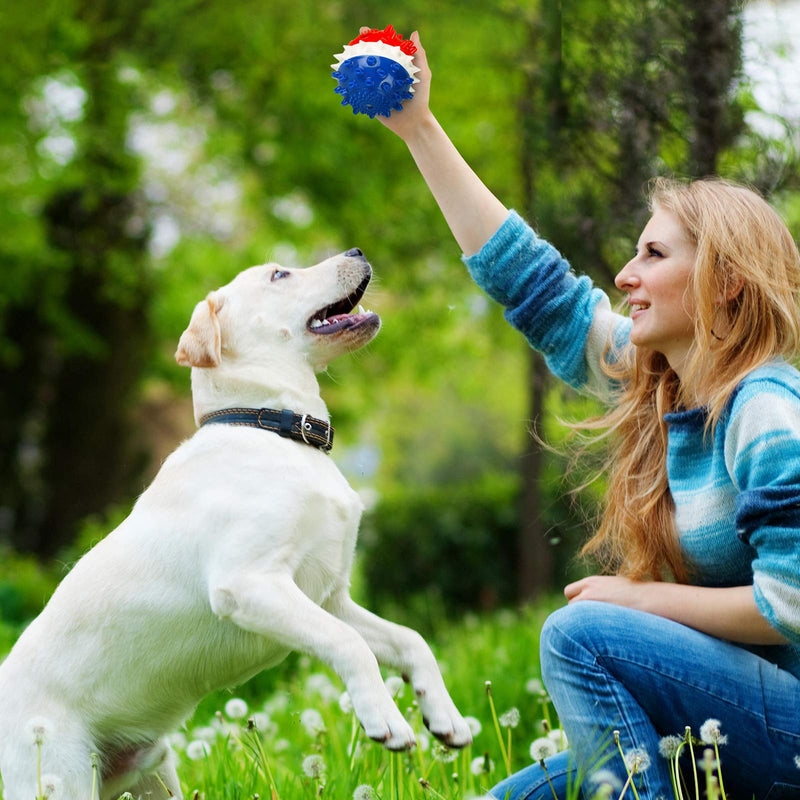 FREESOO Dog Puzzle Interactive Squeaky Toys Puppy Treats Ball Food Dispenser IQ Training Slow Eating for boredom Small Medium Large Dogs RedBlue - PawsPlanet Australia