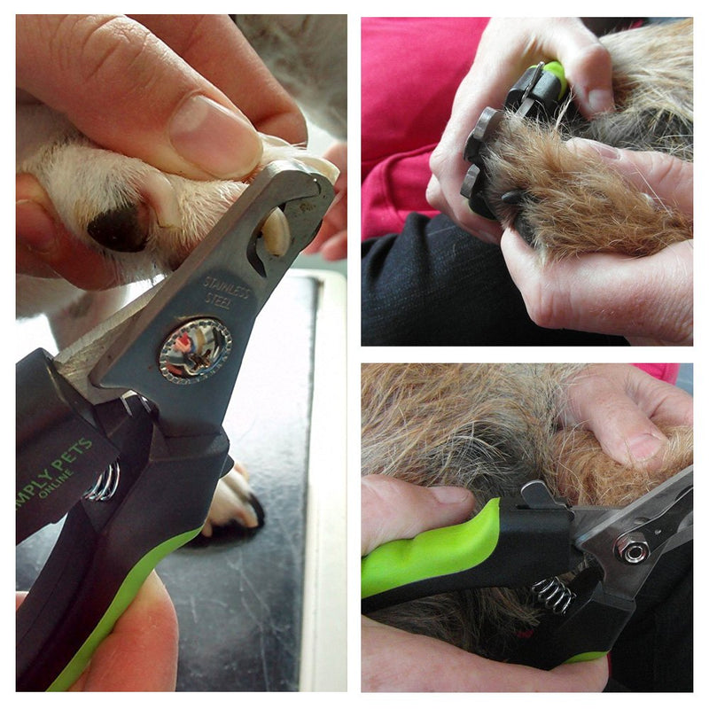 Dog Nail Clippers - Professional Nail Clippers for Dogs with Quick Sensor and Lock Single - PawsPlanet Australia