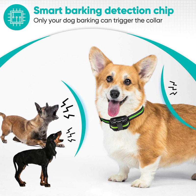 [Australia] - PetYeah Upgraded Q9 Dog Bark Collar,Smart Barking Identification Device,Dual Anti-Barking Modes (No Shock/Shock),Rechargeable Waterproof No Bark Collar,Humane Anti Bark Collar Dogs 