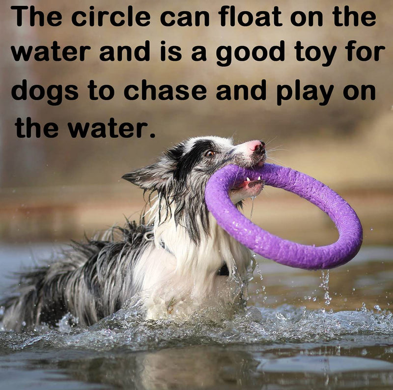 Dog Fitness Ring Dog Bite Ring Dog Training Ring,Pet Dog Outdoor Game Agility Exercise Training Equipment,Tug of War Interactive Training Ring for Small Medium Large Dogs (Purple/Trumpet Ring) Purple Trumpet Ring(Small Dog& Cat) - PawsPlanet Australia