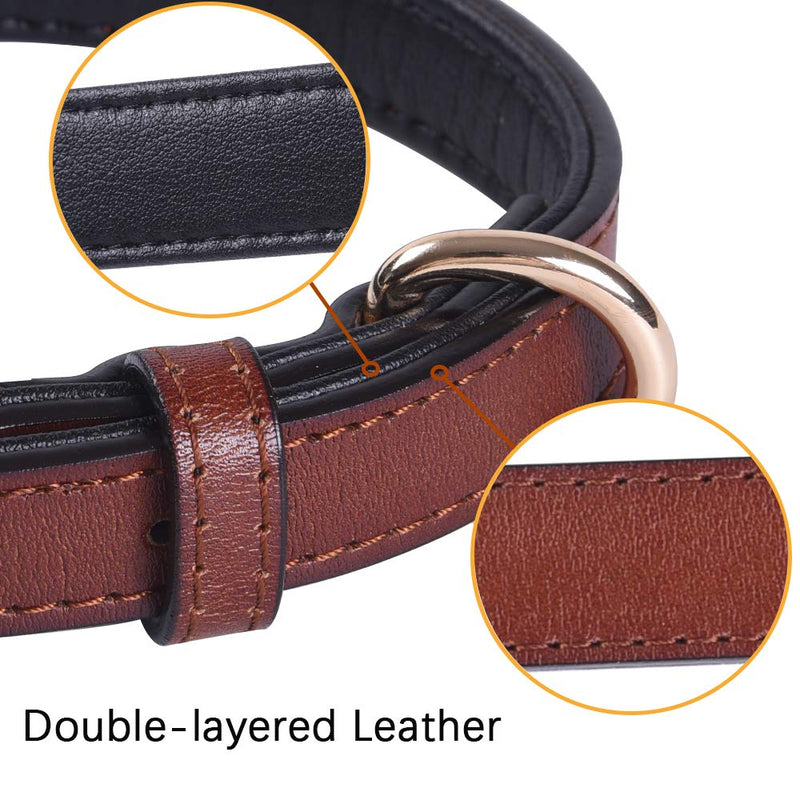 Genuine Leather Adjustable Dog Collar of Soft Thick Padded Collars Best for Small Medium Large Breed Dogs(Brown) (Large) - PawsPlanet Australia