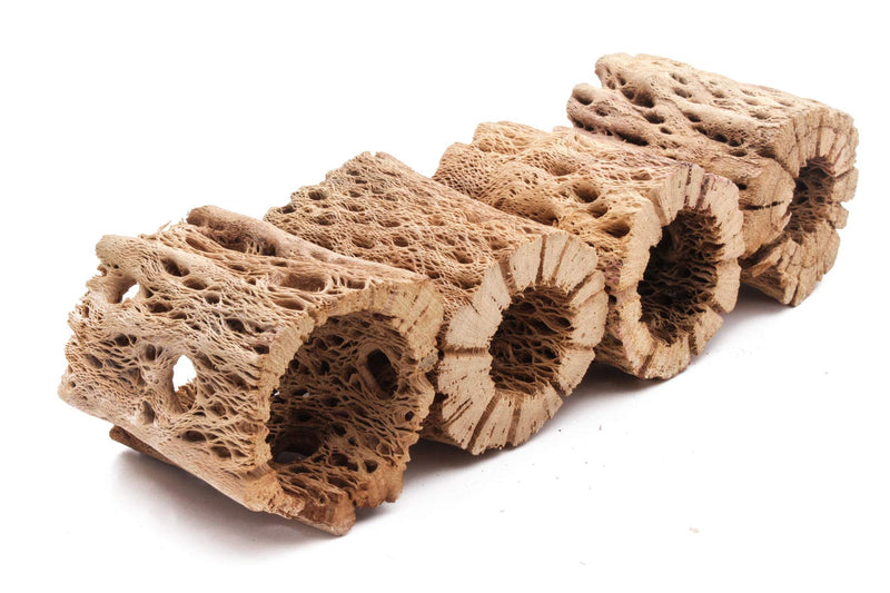 My Pet Patrol 3 to 48 Inch All Natural Teddy Bear Cholla Wood Extra Hollow Large Untreated Organic Aquarium Driftwood Decoration Chew Toy Shrimp Crab Multi-Quantity 1 Piece, 3 inch - PawsPlanet Australia