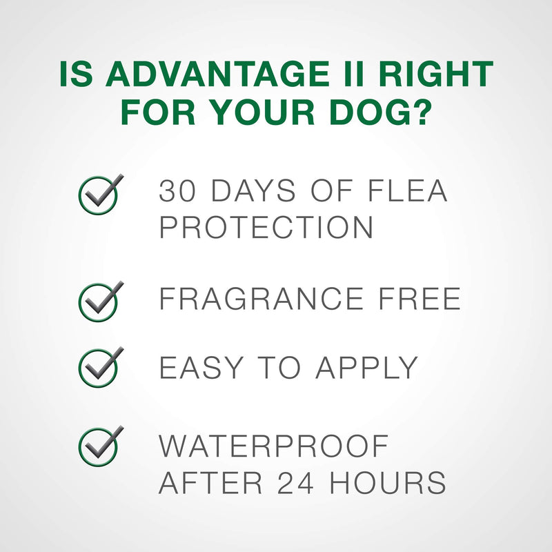 Advantage II Flea and Lice Treatment for Extra Large Dogs, Flea and Lice Treatment for Dogs Over 55 Pounds 4-pack - PawsPlanet Australia