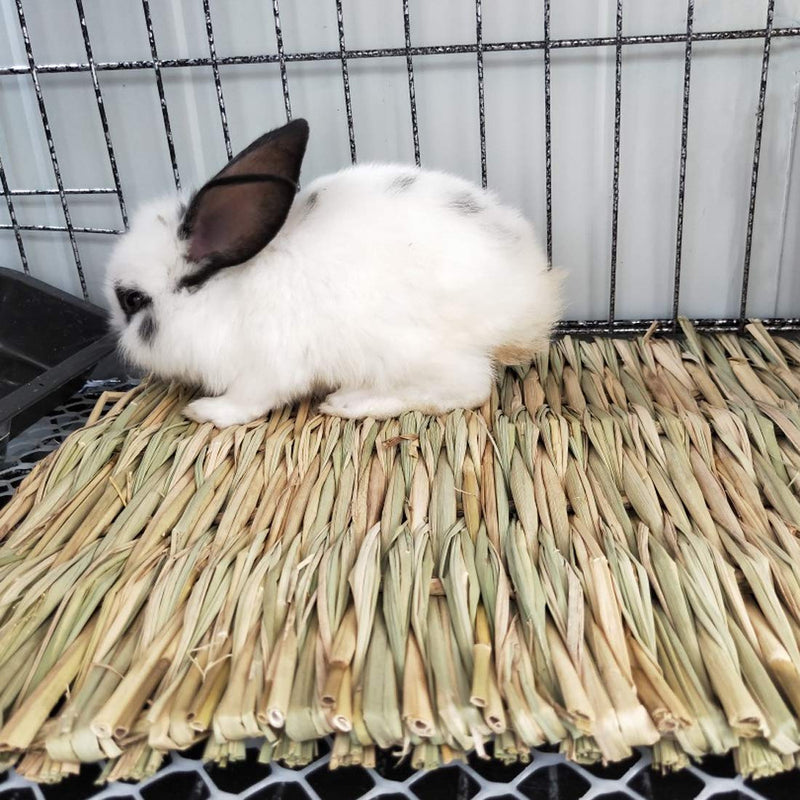 Hamiledyi Rabbit Grass Tunnel,Natural Straw Woven Mat Winter Warm Hideaway Hut for Bunny Gerbil Ferrets Guinea Pig Chinchilla - PawsPlanet Australia