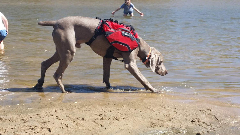 [Australia] - Pettom Dog Saddle Backpack 2 in 1 Saddblebag&Vest Harness with Water-Resistant for Backpacking, Hiking, Travel, for Small, Medium & Large Dogs Red 