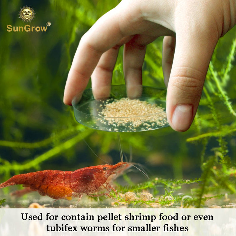 Tough Borosilicate Glass Shrimp Feed Dish, Never Run out Of Food for Shrimps, Prevent Food Spilling, Heavy-Duty, Transparent Basin, for Shrimp Food or Fishs Tubifex Worms - PawsPlanet Australia