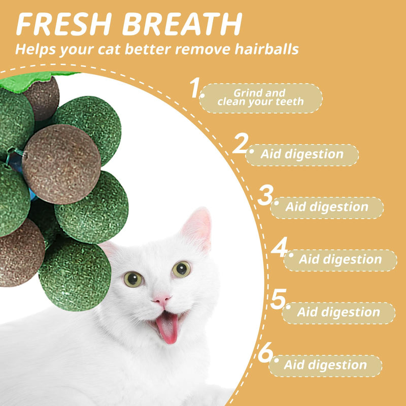 PAKESI Catnip Toys Balls,Set of 9 Catnip Balls and 4 Bug Berry Balls,Teeth Cleaning Cat Bite Toy, Cat Wall Treats, Interactive Cat Toys for Hours of Play - PawsPlanet Australia