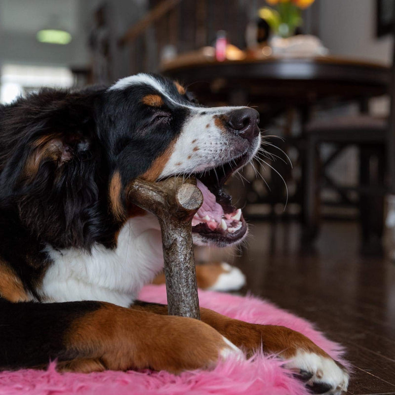 [Australia] - Pet Qwerks BarkBone Stick - For Aggressive Chewers Peanut Butter Large 