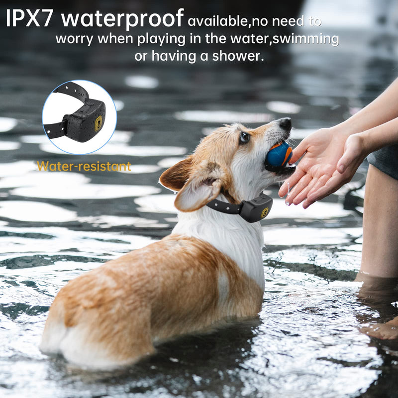 Bark Collar for Dogs, Pedono Automatic Control 200A Intelligent Barking Detection IPX7 Water-Resistant with 7 Levels Adjustable Sensitivity and 8 Levels Static Shock for Small Medium Large Pet Dogs PVC-Black - PawsPlanet Australia