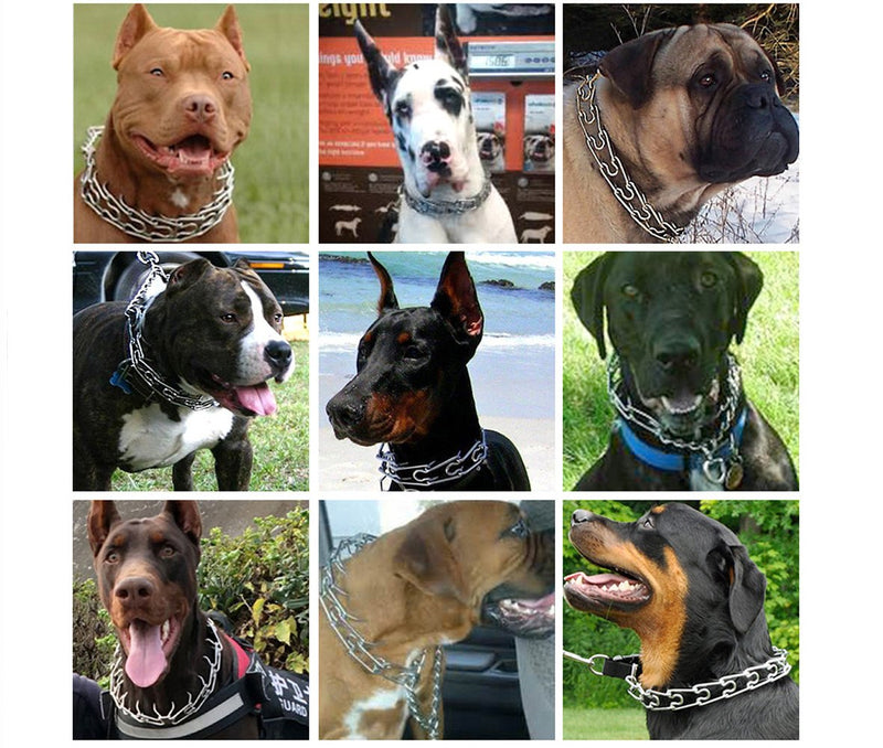 [Australia] - Pettycart Dog Prong Collar, Durable Stainless Steel Dog Pinch Training Collars for Medium Large Large Dogs M-19.6" Black 