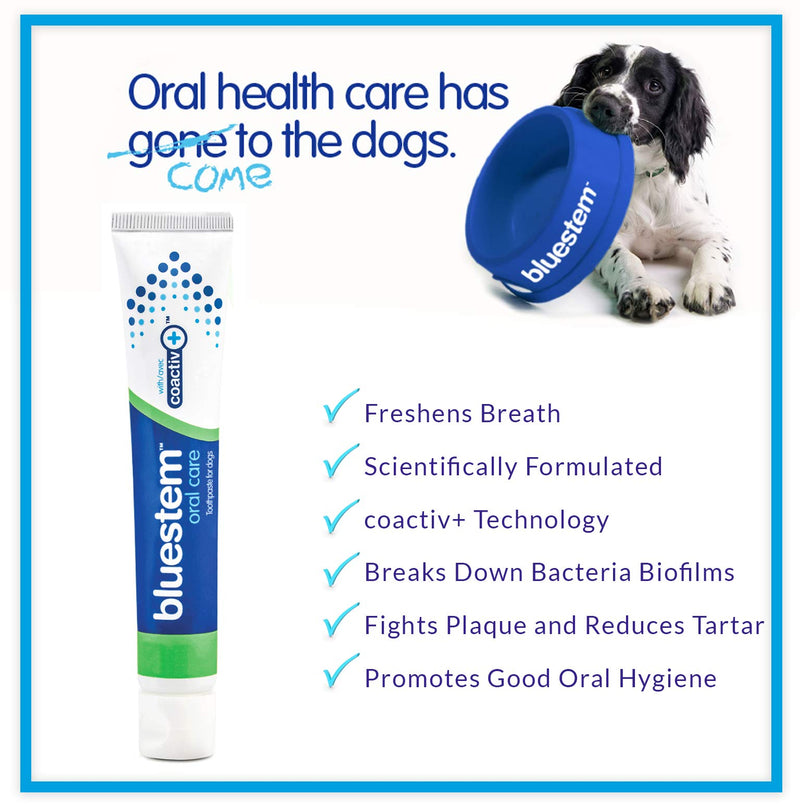Dog Toothpaste : Dog & Cat Dental Care Tooth Paste Promotes Fresh Breath Teeth Brushing Cleaner Pet Breath Freshener Oral Care Dental Cleaning Kit. Tartar & Plaque Remover Toothbrush Vanilla Mint Flavor + Toothbrush - PawsPlanet Australia