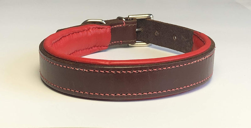 ITALIAN BRIDLE LEATHER PADDED DOG COLLAR IN AUSTRALIAN NUT (MAHOGANY BROWN) WITH RED LEATHER PADDING LARGE 19"-23" 48CM-58CM WITH CHROME ACCESSORIES - PawsPlanet Australia