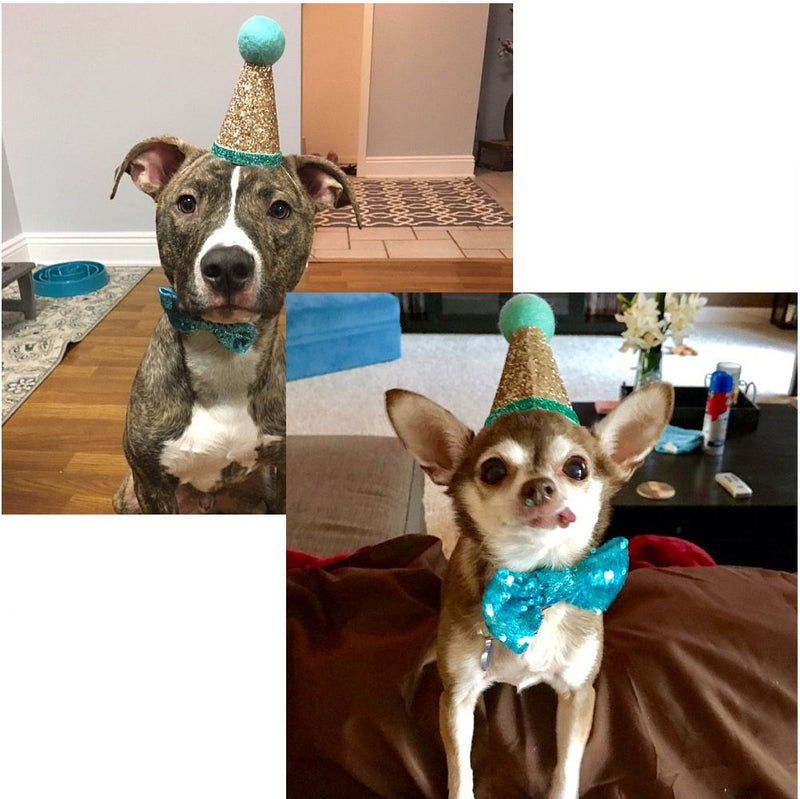 [Australia] - Stock Show Pet Cute Birthday Party Cone Hat and Bow tie Collar Set with Adjustable Headband and Pom-poms Topper for Kitten Puppy Small Dogs Cats Pets Blue 